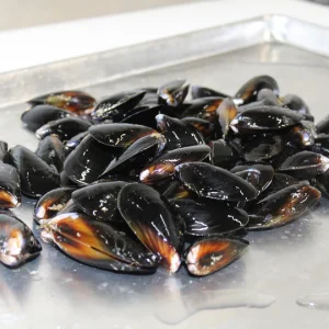 Pacific Blue Mussels (aquaculture, live) by the pound